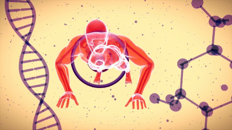 Your genes and why you have Gilbert's Syndrome - gilbertssyndrome.org.uk